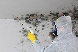 Best Mold Prevention Services  in Butler, AL